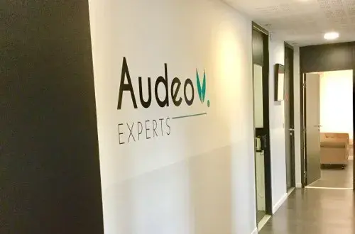 Audeo Experts