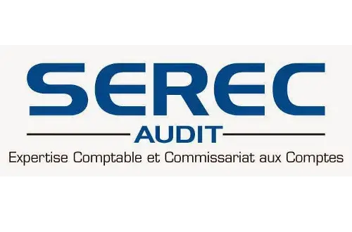 Serec Audit