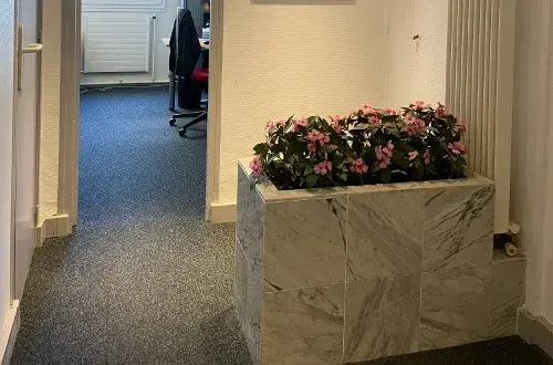 Ngp Expertise