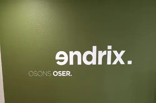 Endrix