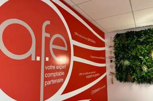 Audit Finance Expert  AFE UZES