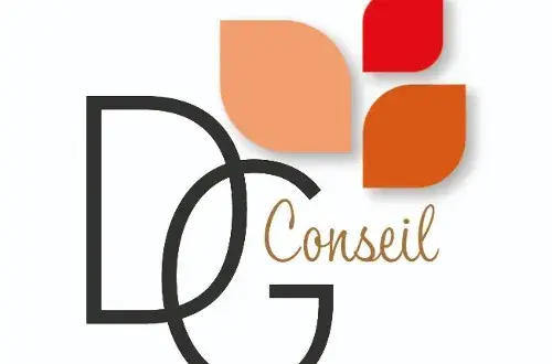 Dg Conseil