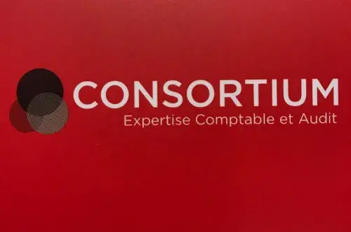 CONSORTIUM Expertise comptable et Audit