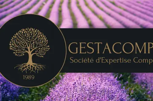 Gestacompta